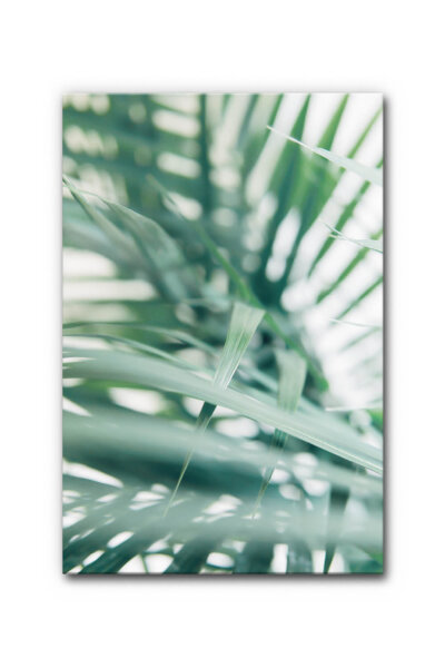 Akustikbild Tropical