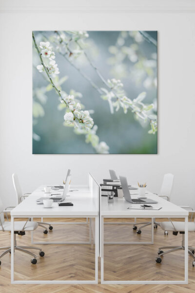 Akustikbild Frühling