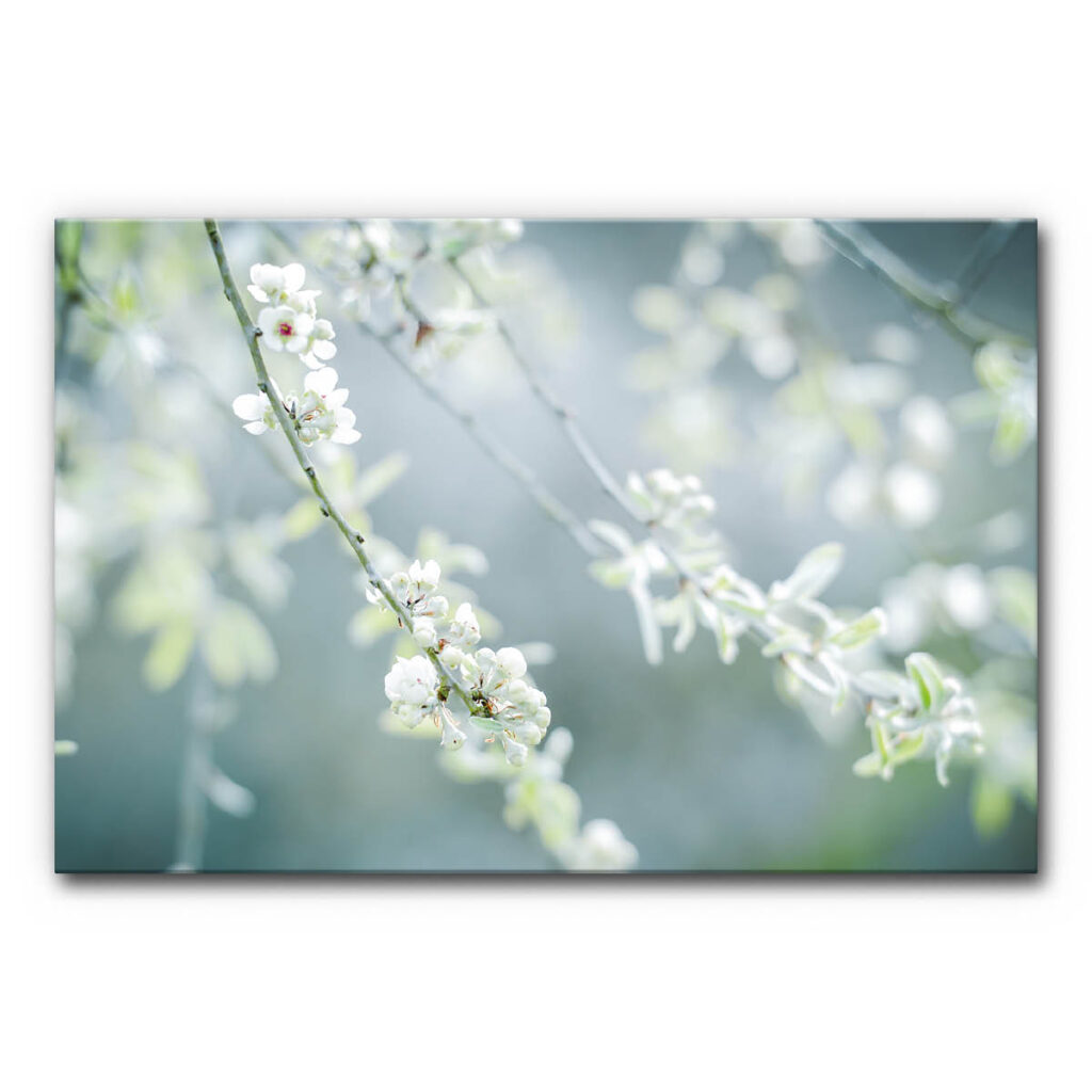 Akustikbild Frühling