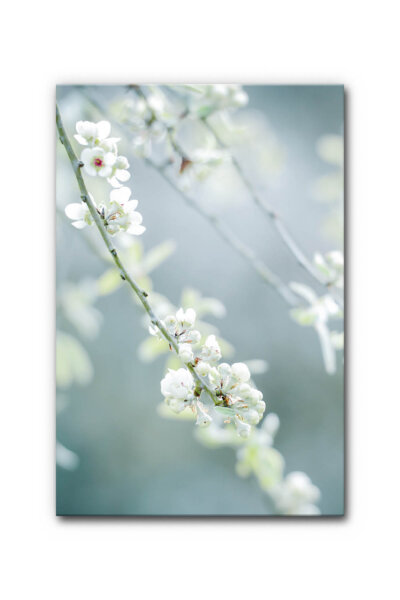 Akustikbild Frühling