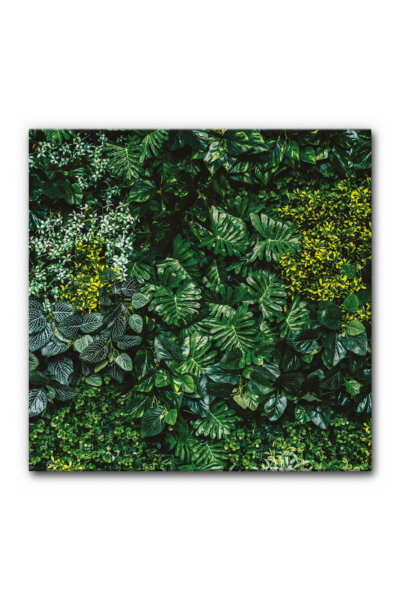 Akustikbild Vertical Garden II