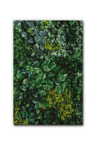 Akustikbild Vertical Garden II