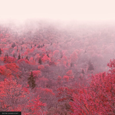 Akustikbild Magic Autumn