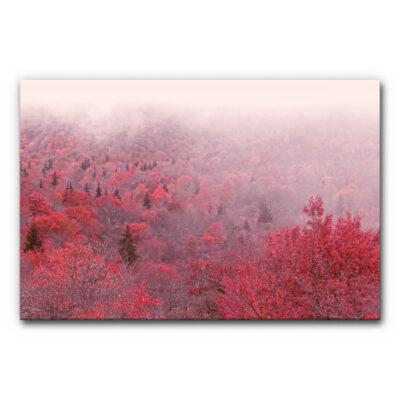 Akustikbild Magic Autumn