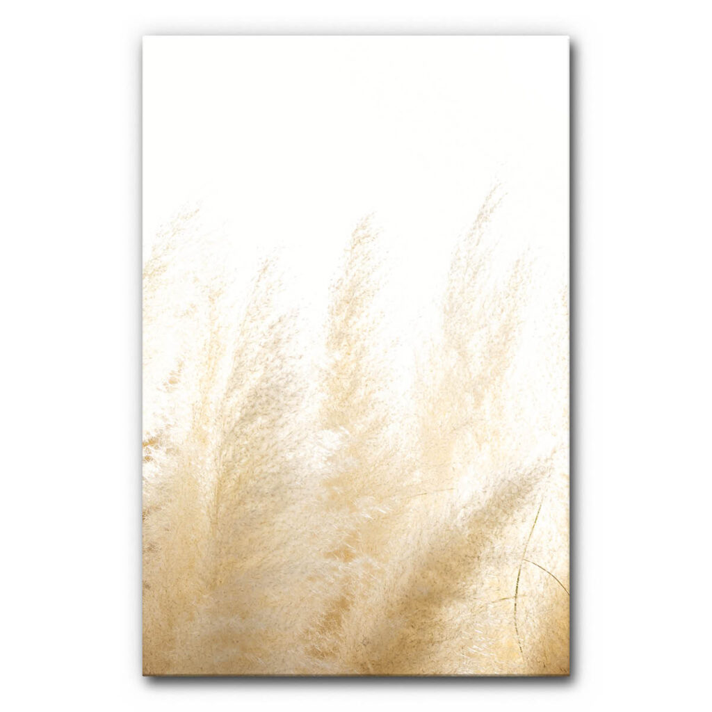 Akustikbild Pampasgras