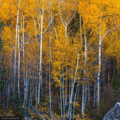 Akustikbild Die goldene Zeit – Bild 3