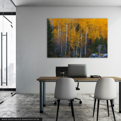 Akustikbild Die goldene Zeit – Bild 4
