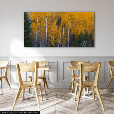 Akustikbild Die goldene Zeit