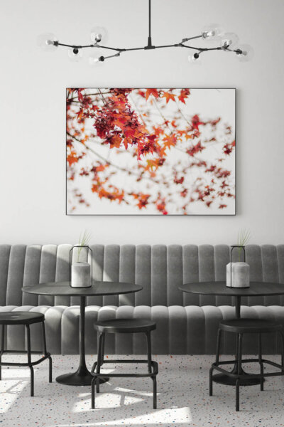 Akustikbild Red Leaves on White
