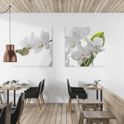 Akustikbild Orchidee 2