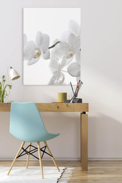 Akustikbild Orchidee 2 – Bild 3