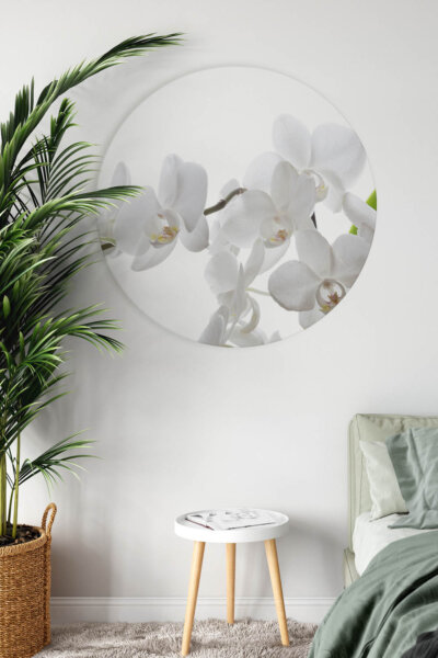 Akustikbild Orchidee 2
