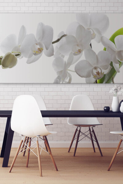 Akustikbild Orchidee 2