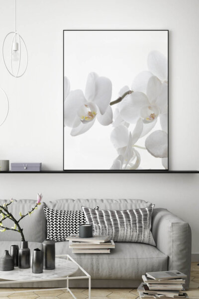 Akustikbild Orchidee 2