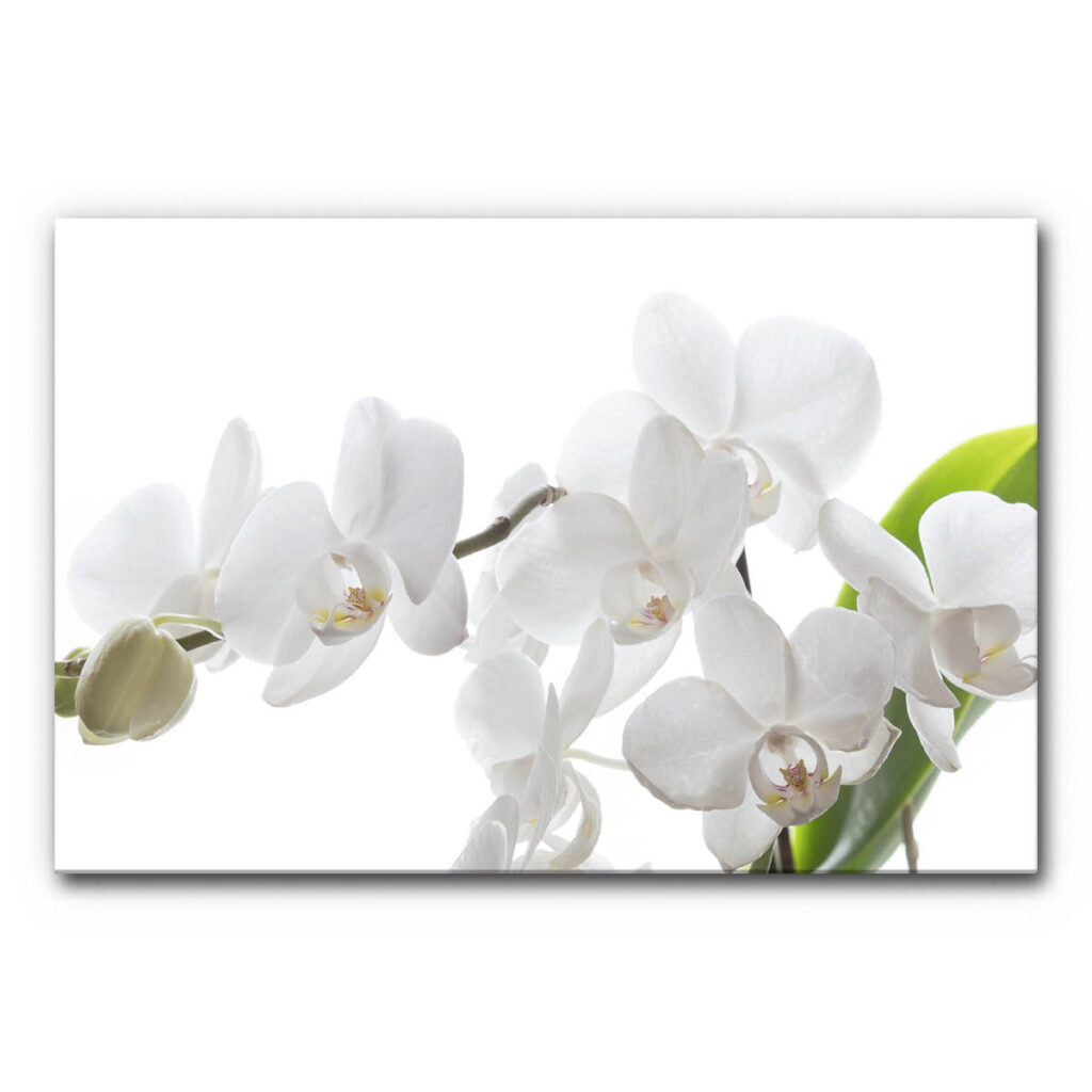 Akustikbild Orchidee 2