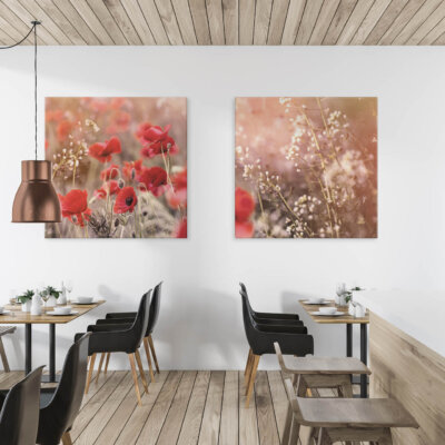 Akustikbild Wiese mit Mohn
