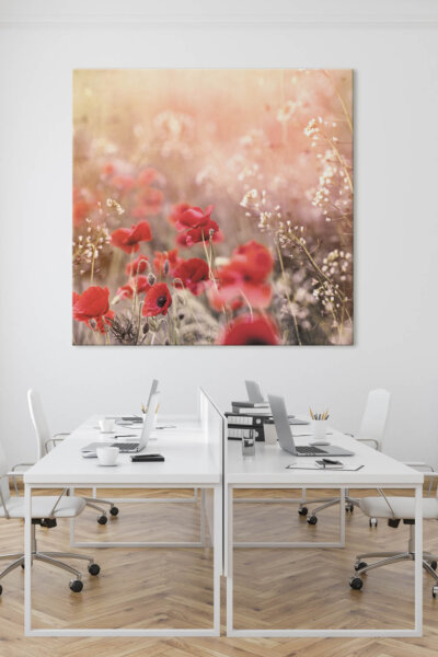 Akustikbild Wiese mit Mohn