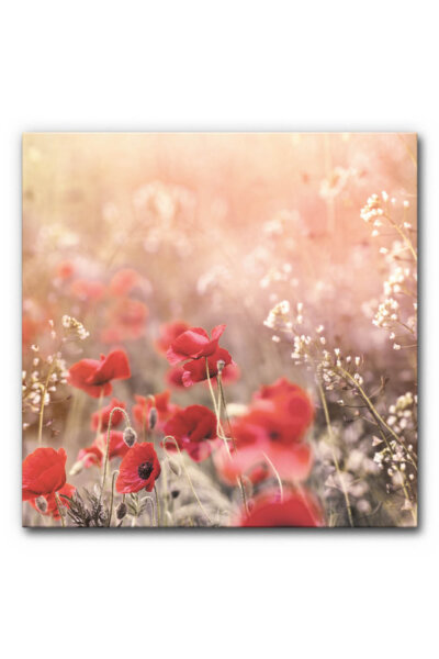 Akustikbild Wiese mit Mohn