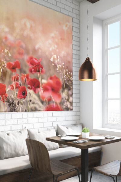 Akustikbild Wiese mit Mohn