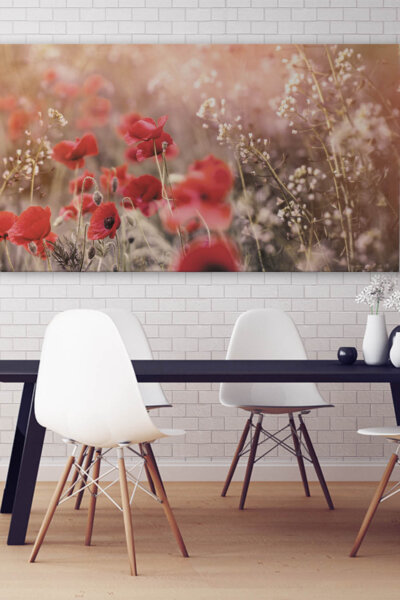 Akustikbild Wiese mit Mohn