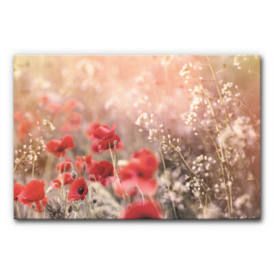 Akustikbild Wiese mit Mohn
