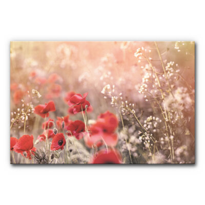 Akustikbild Wiese mit Mohn