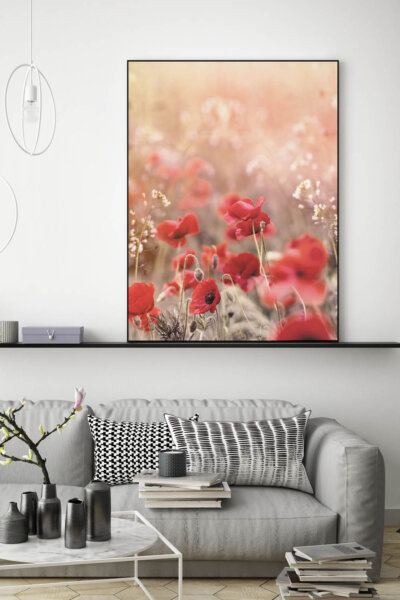 Akustikbild Wiese mit Mohn