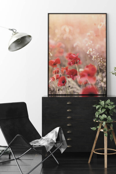 Akustikbild Wiese mit Mohn