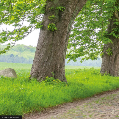 Akustikbild Die Allee