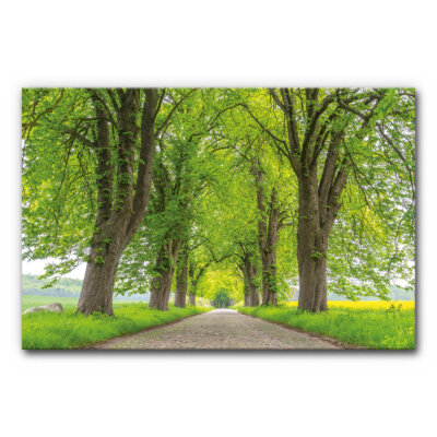 Akustikbild Die Allee