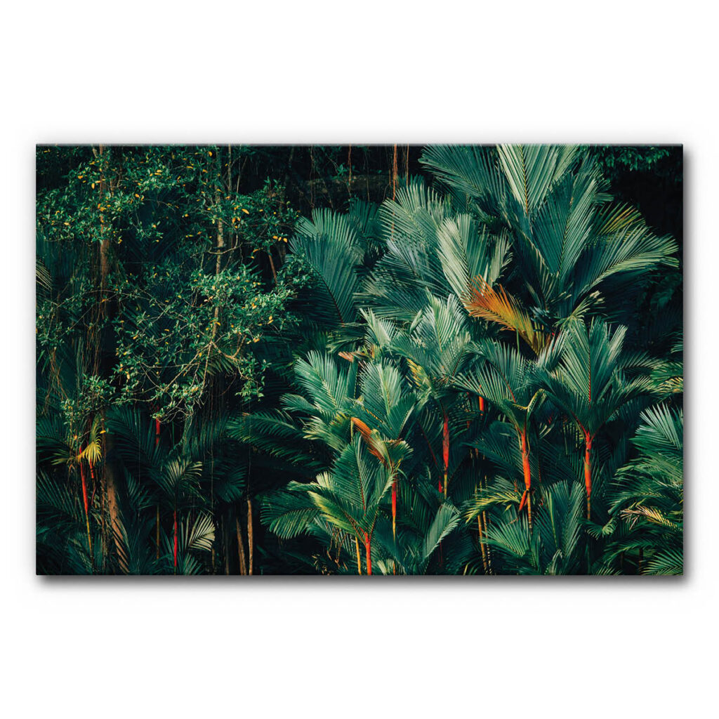 Akustikbild mit Dschungelmotiv