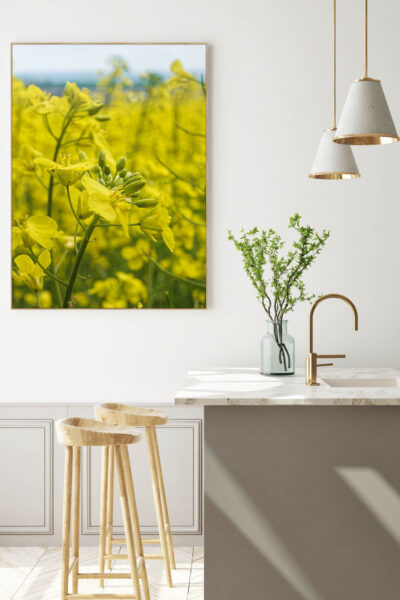 Akustikbild Raps 2 – Bild 4