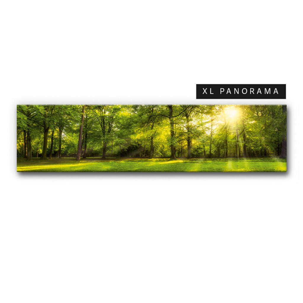 Akustikbild Wald 4 (auch als Panorama bis 400 cm)