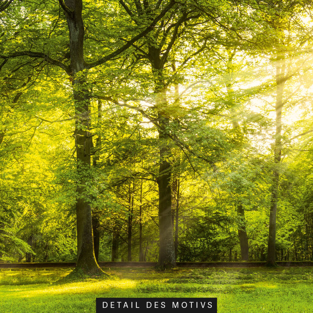 Akustikbild Wald 4 (auch als Panorama bis 400 cm)