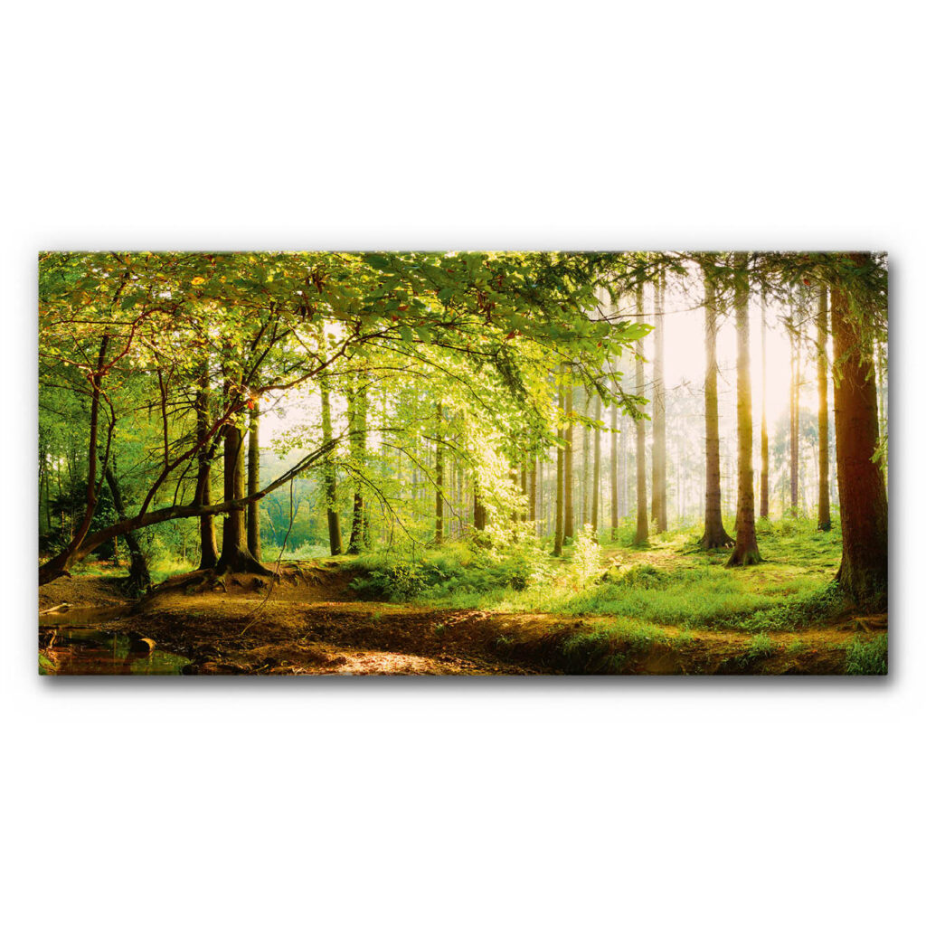 Akustikbild mit Waldlichtung und Bach