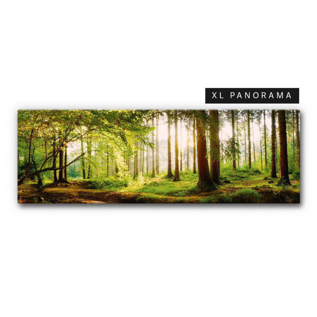 Akustikbild Wald 5 (auch als Panorama bis 400 cm)