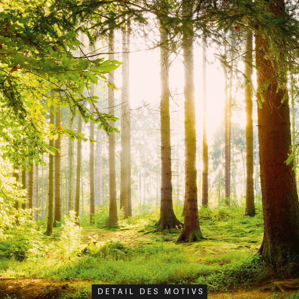 Akustikbild Wald 5 (auch als Panorama bis 400 cm)